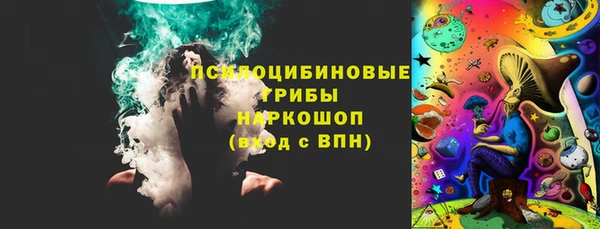 крисы Елизово