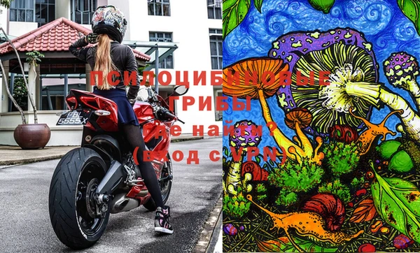 крисы Елизово