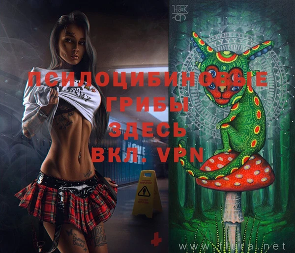 бутират Ельня